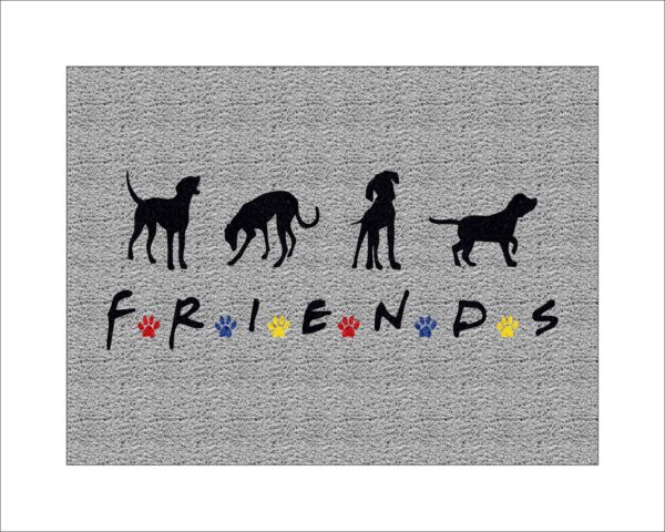 CAPACHO FRIENDS PETS
